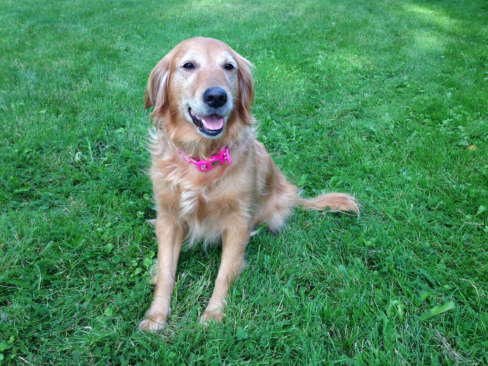 Zoe
